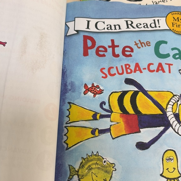 Bundle of Children’s Books & LEGO Telling Time Flashcards & My Writing Words - Picture 4 of 16